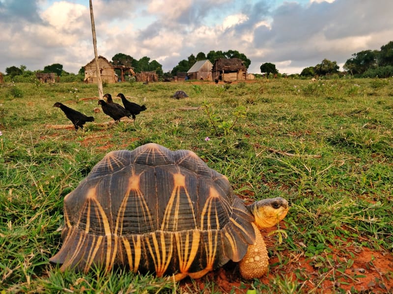 Découvertes en terre inconnue