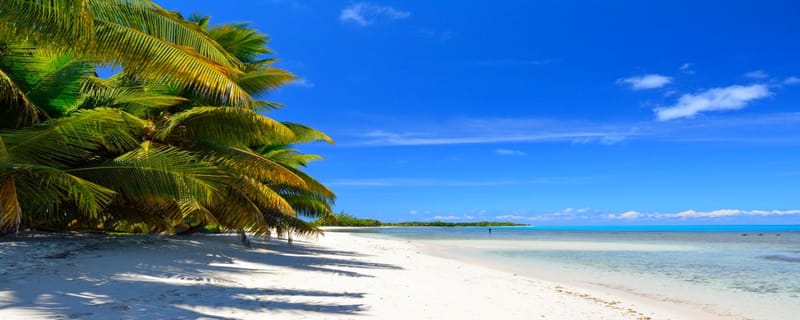 Nature luxuriante - Plage idyllique