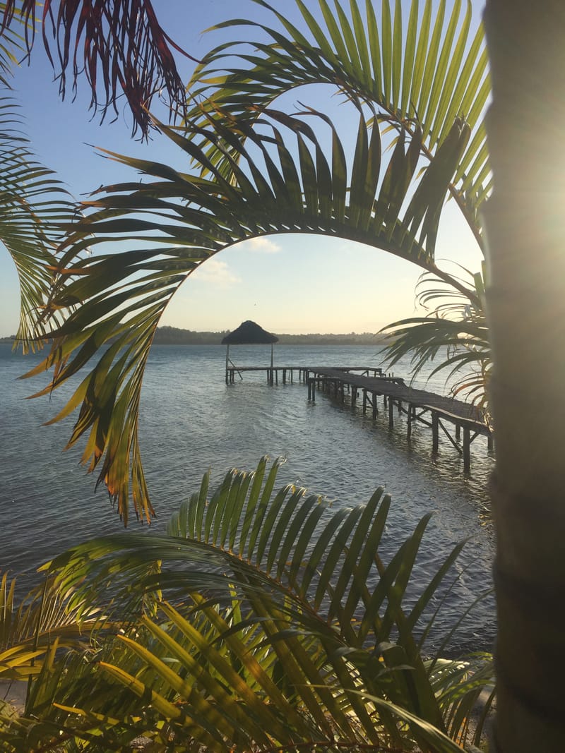 Nature luxuriante - Plage idyllique