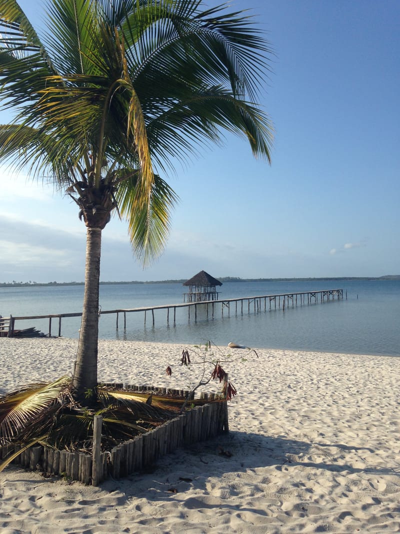 Nature luxuriante - Plage idyllique