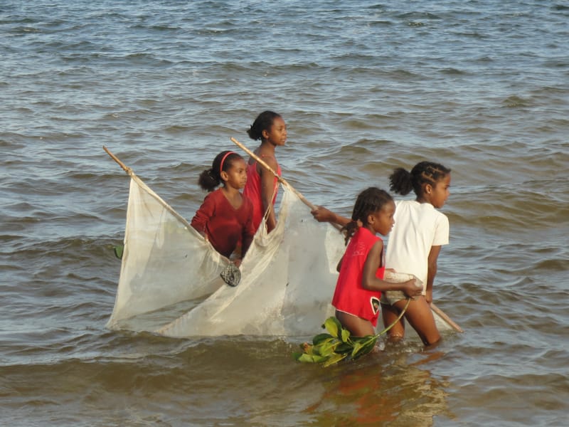 Nature luxuriante - Plage idyllique