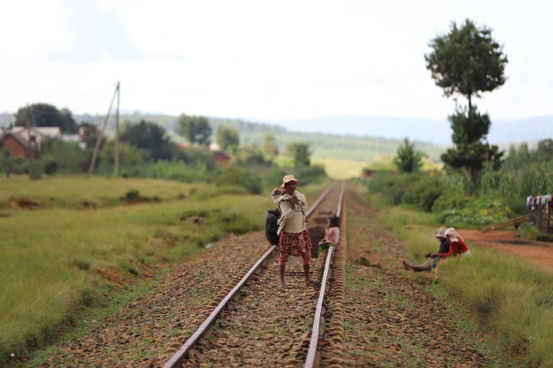 Nature luxuriante - Plage idyllique