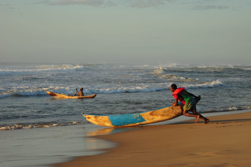Nature luxuriante - Plage idyllique