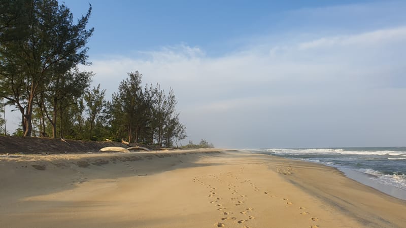 Nature luxuriante - Plage idyllique