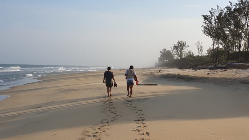 Nature luxuriante - Plage idyllique