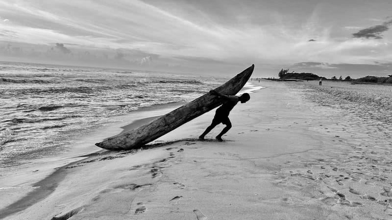 Nature luxuriante - Plage idyllique
