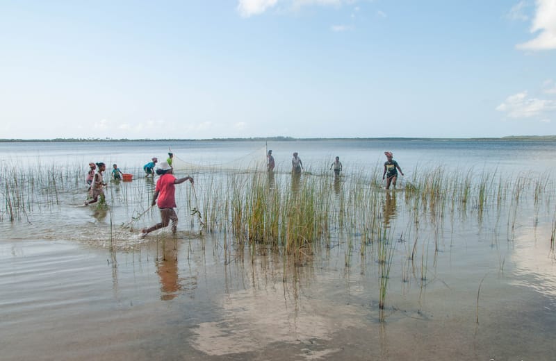 Nature luxuriante - Plage idyllique