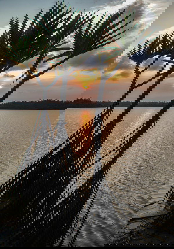 Nature luxuriante - Plage idyllique