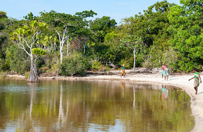 Nature luxuriante - Plage idyllique