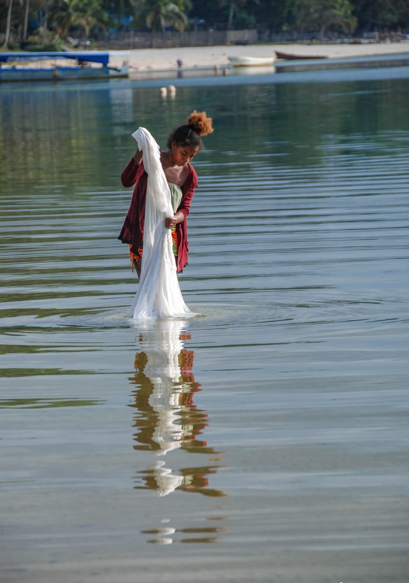 Nature luxuriante - Plage idyllique