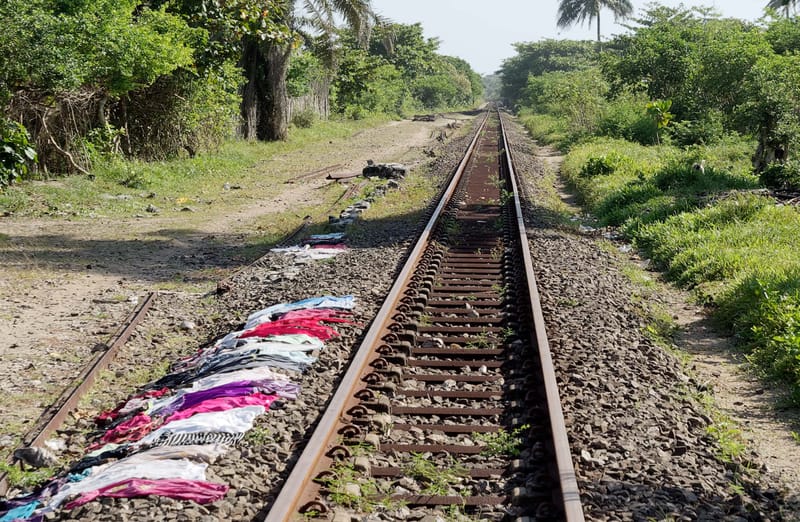 Nature luxuriante - Plage idyllique