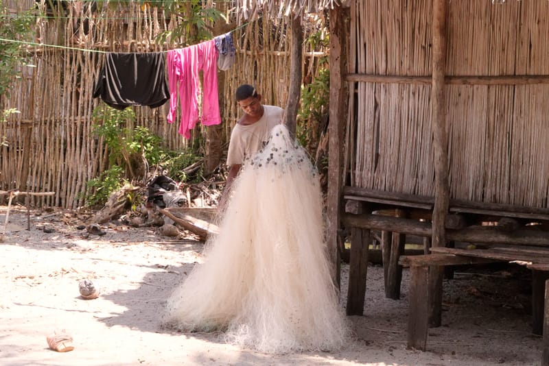 Nature luxuriante - Plage idyllique