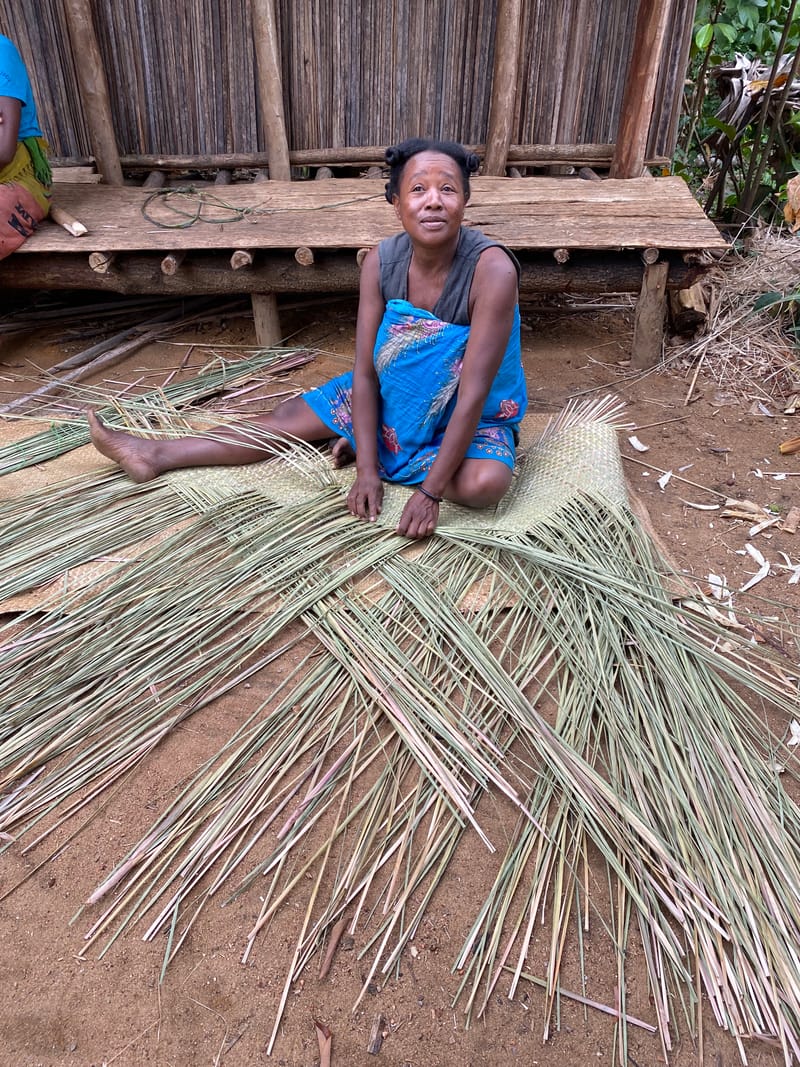 Nature luxuriante - Plage idyllique