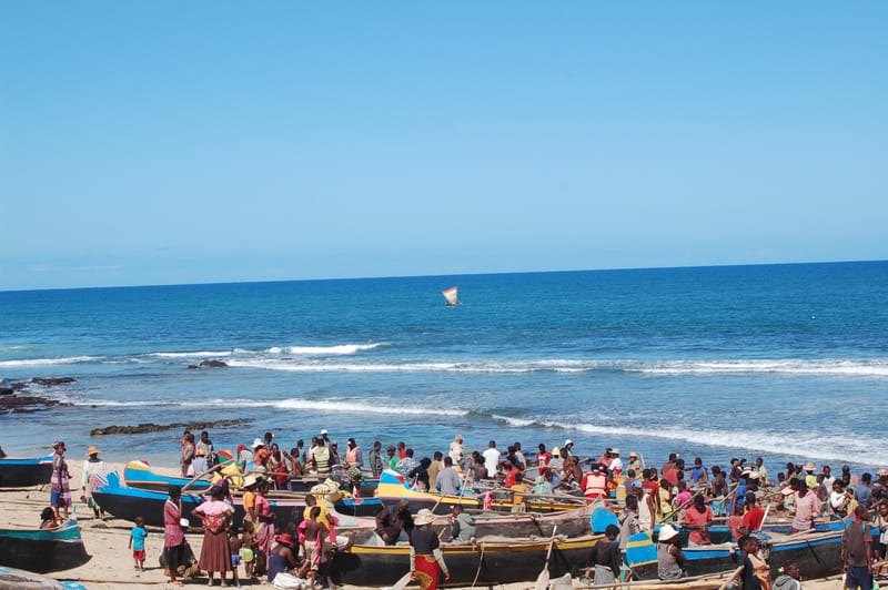 Découvertes en terre inconnue