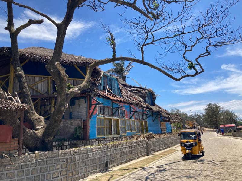 Découvertes en terre inconnue