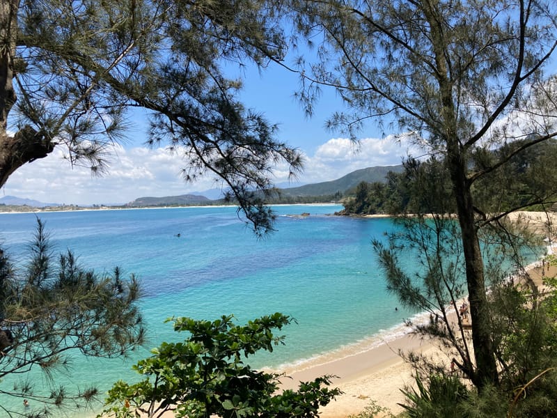 Découvertes en terre inconnue