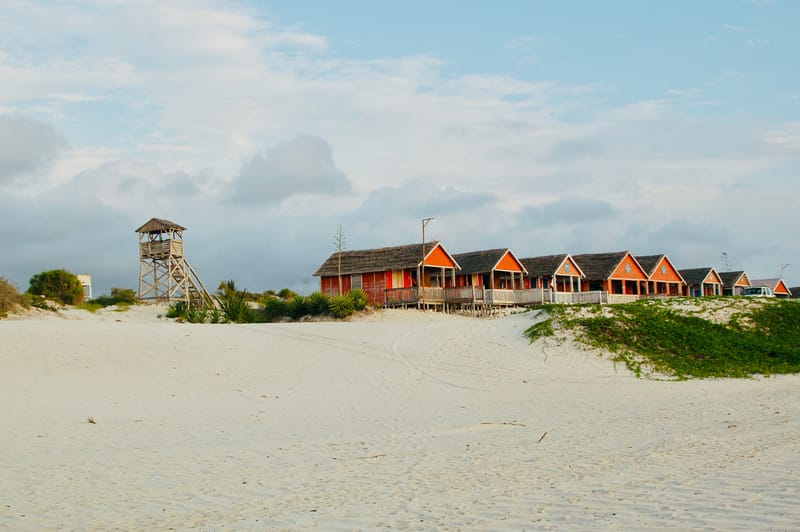 Découvertes en terre inconnue