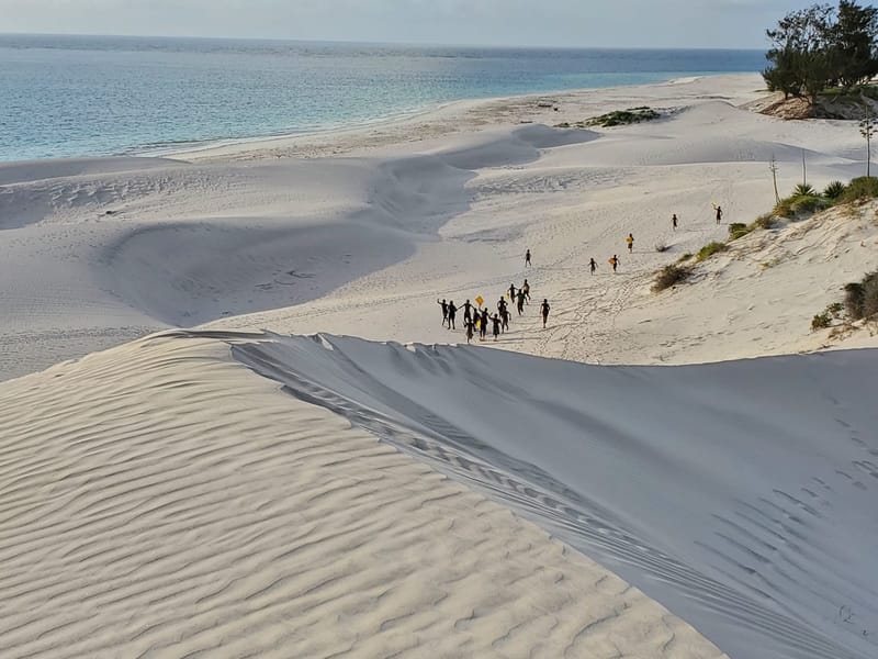 Découvertes en terre inconnue