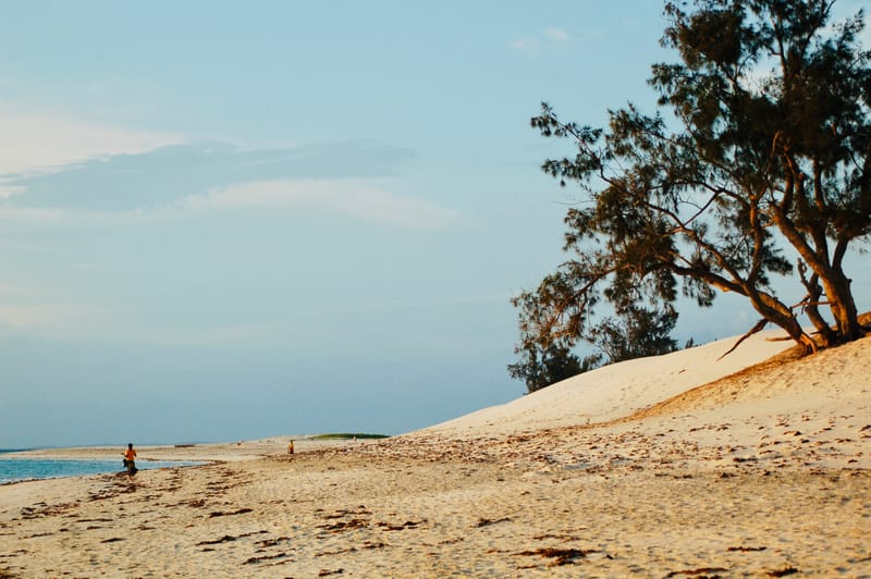 Découvertes en terre inconnue