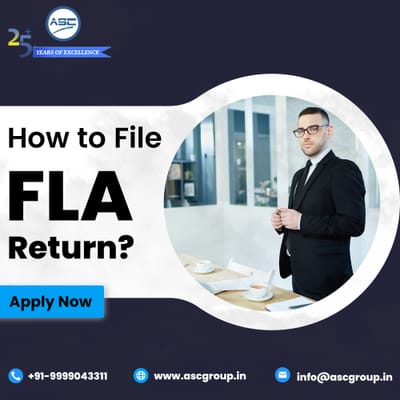 FLA Return - Applicability of Foreign Liabilities and Assets Annual Return