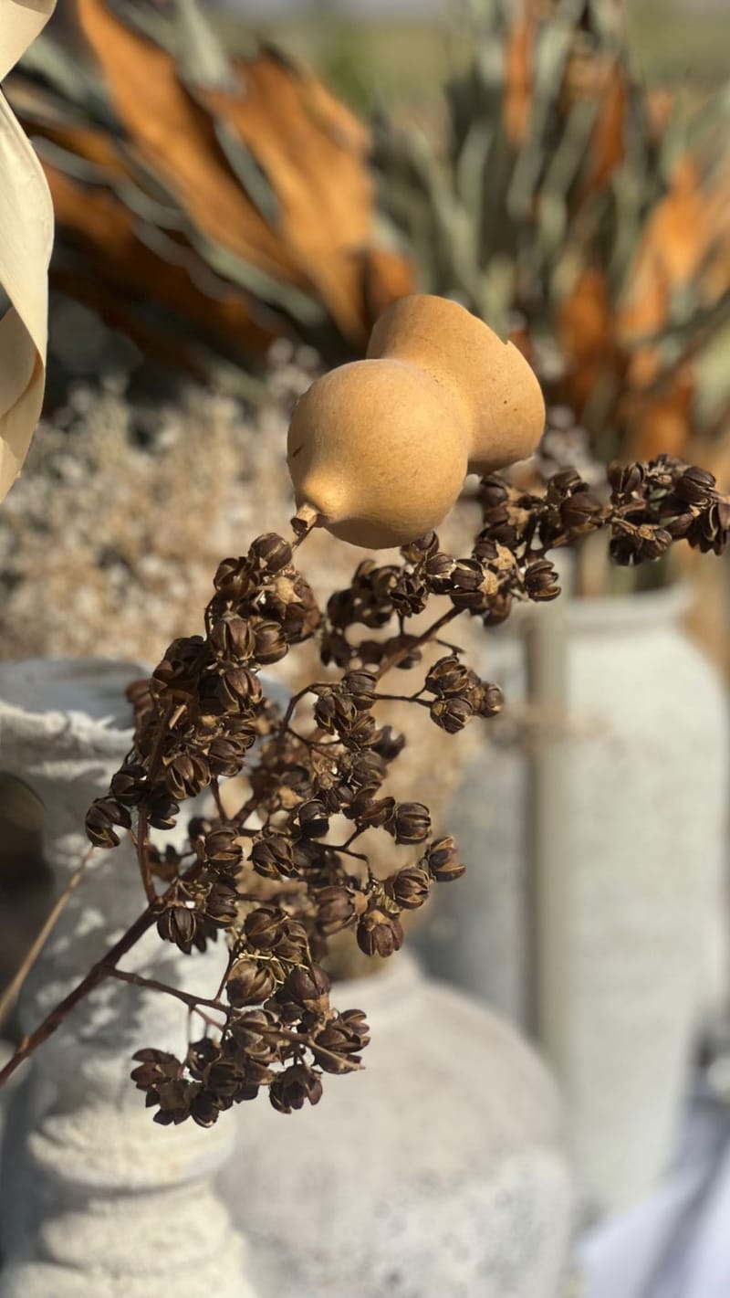 סידורי בכדי אבן