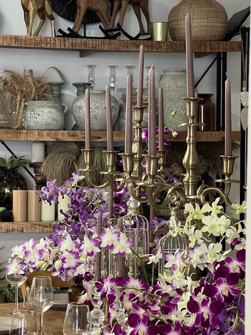 עיצובים אלגנטיים