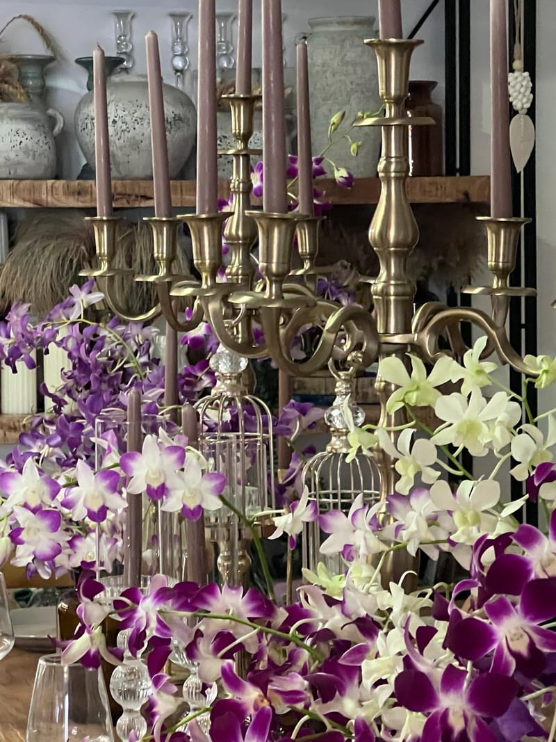 עיצובים אלגנטיים