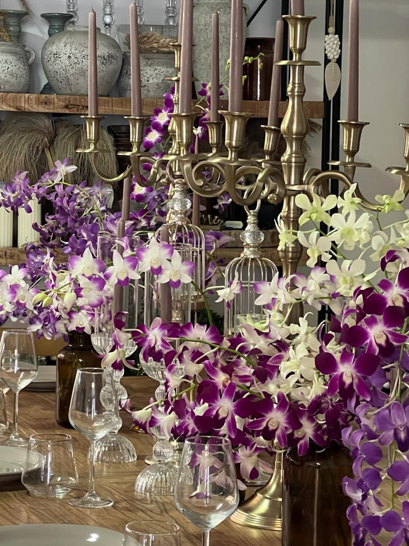 עיצובים אלגנטיים