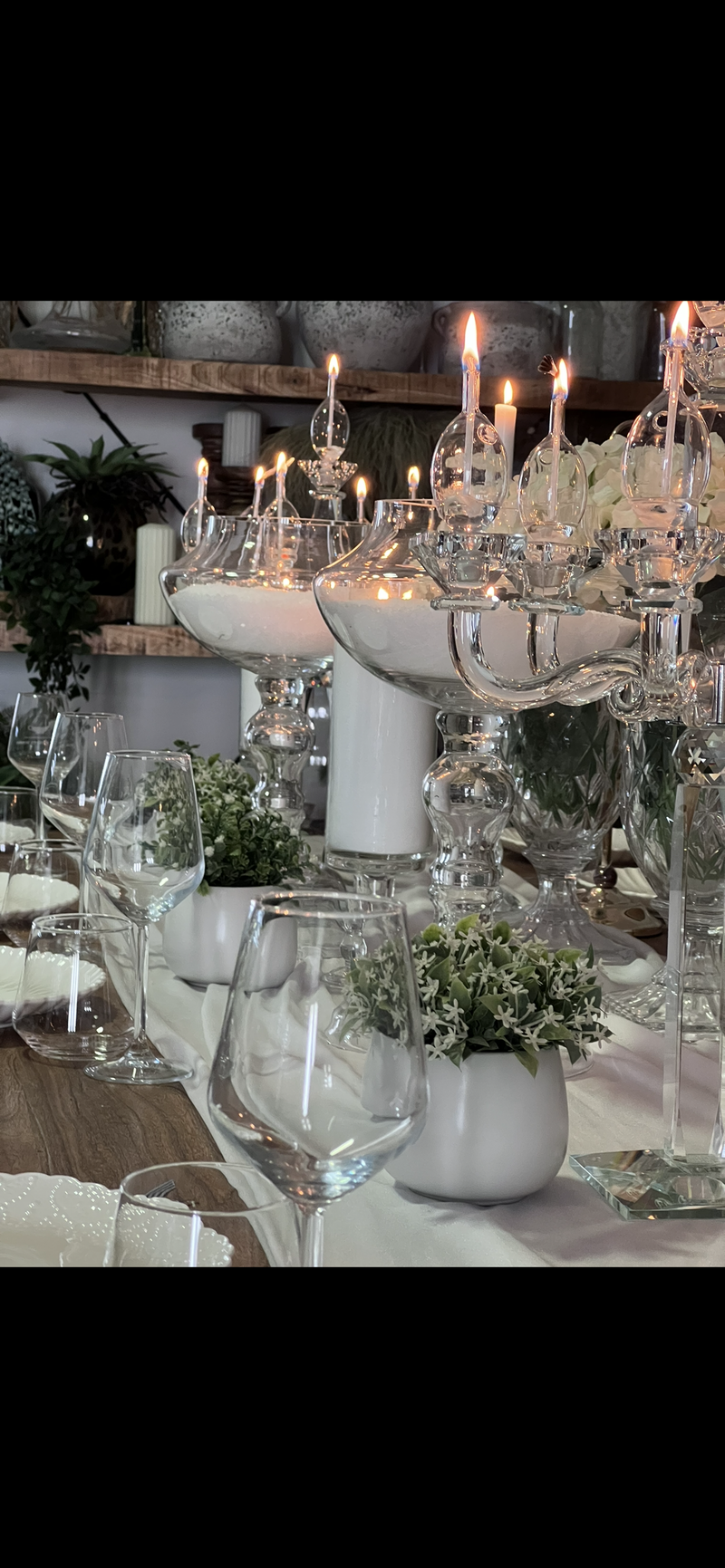 עיצובים אלגנטיים