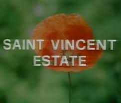 SAINT VINCENT 1981 Una canzone per la vostra estate