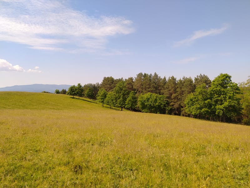 Művelési ág változási vázrajzok