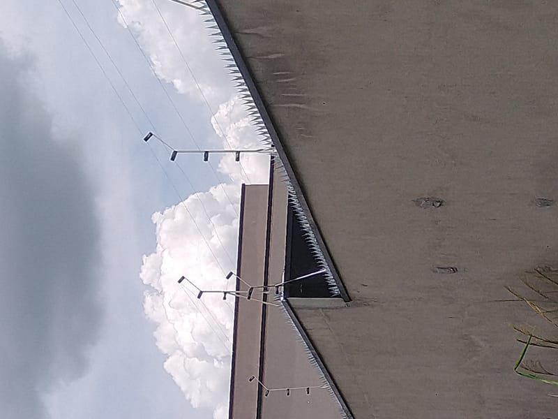 Lança Perfurante Mandíbula com a Cerca Elétrica