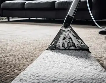 Carpet Cleaning