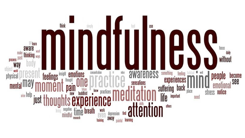 OPERATORE MINDFULNESS