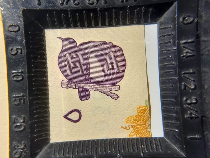 GUÍA PARA DETECTAR BILLETES FALSIFICADOS: Un recorrido por las medidas de seguridad