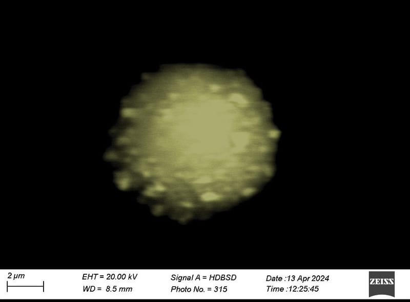 RESIDUOS DE DISPARO DE ARMA DE FUEGO (GSR)
