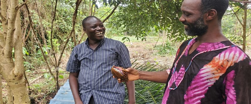 Creating alternative livelihoods support to scale up sustainable mangrove conservation in coastal communities