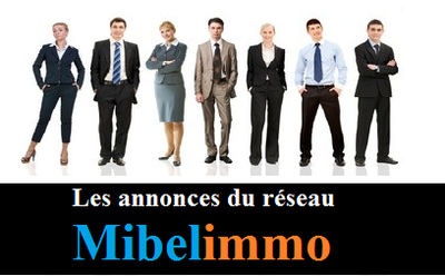 Agence Horeca Mibelimmo. Agence CHR image