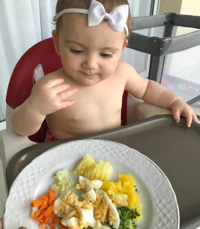 Introdução alimentar