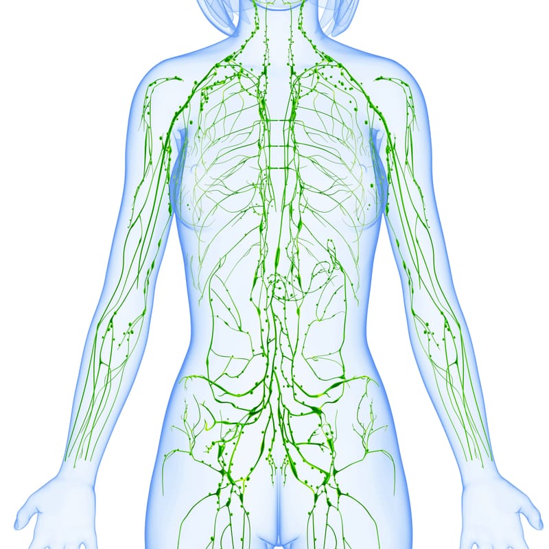 Lymphatic Stimulation