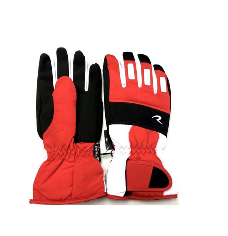 Ski Gloves