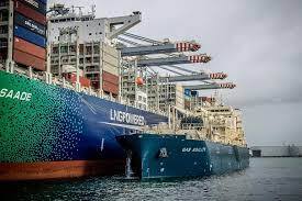 Marine Biofuels A Personal Study By C. Karikoglou