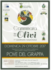 1ª Giornata Nazionale della Camminata tra gli olivi