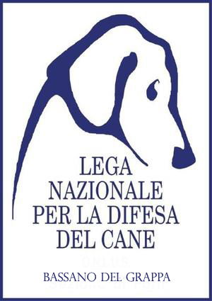 15° Marcia Quattro Zampe a Pove