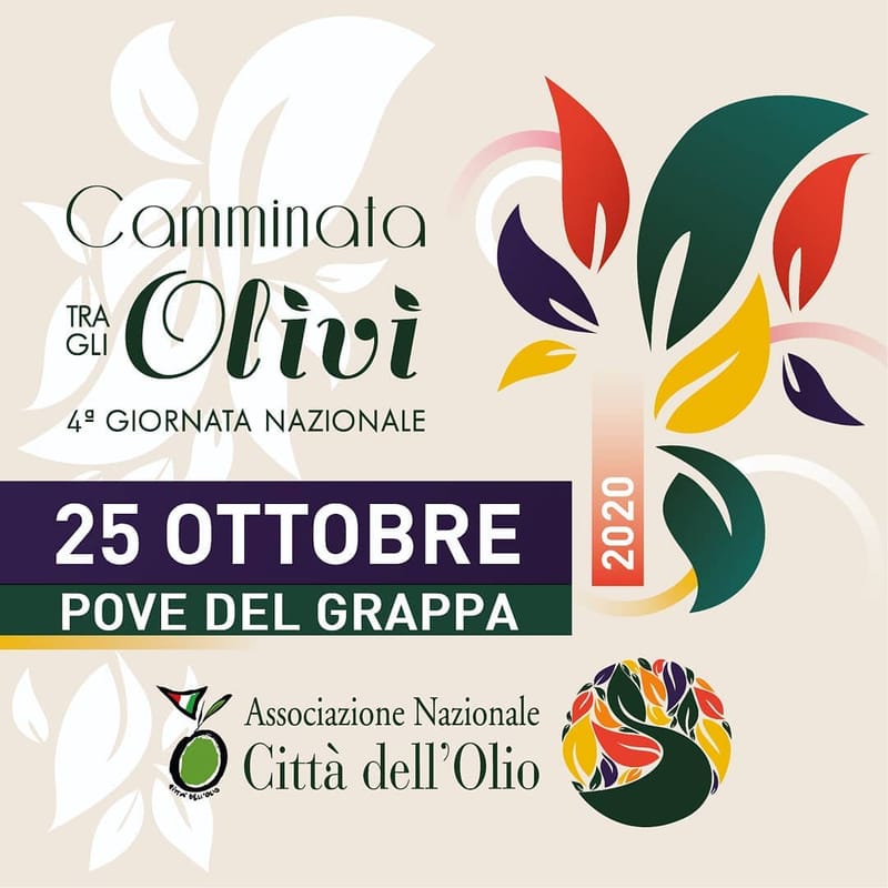 4° CAMMINATA TRA GLI OLIVI