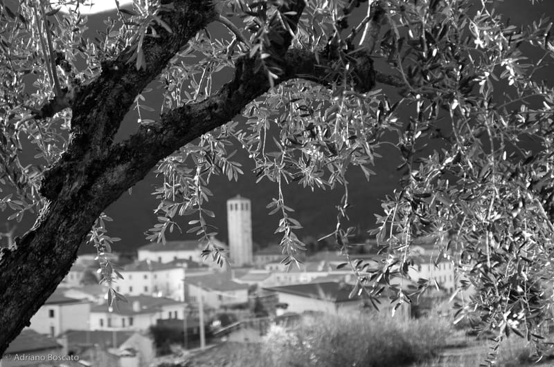 "Foto Pove" momenti storici