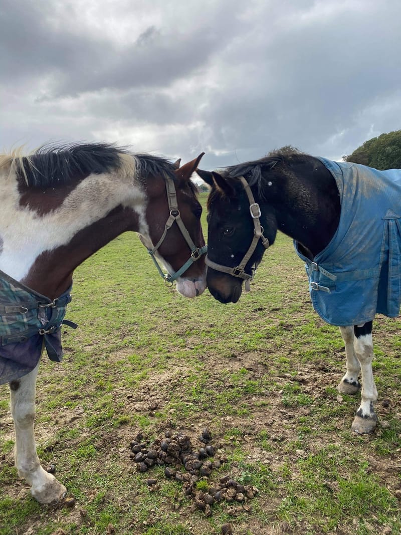 Follow up consultations