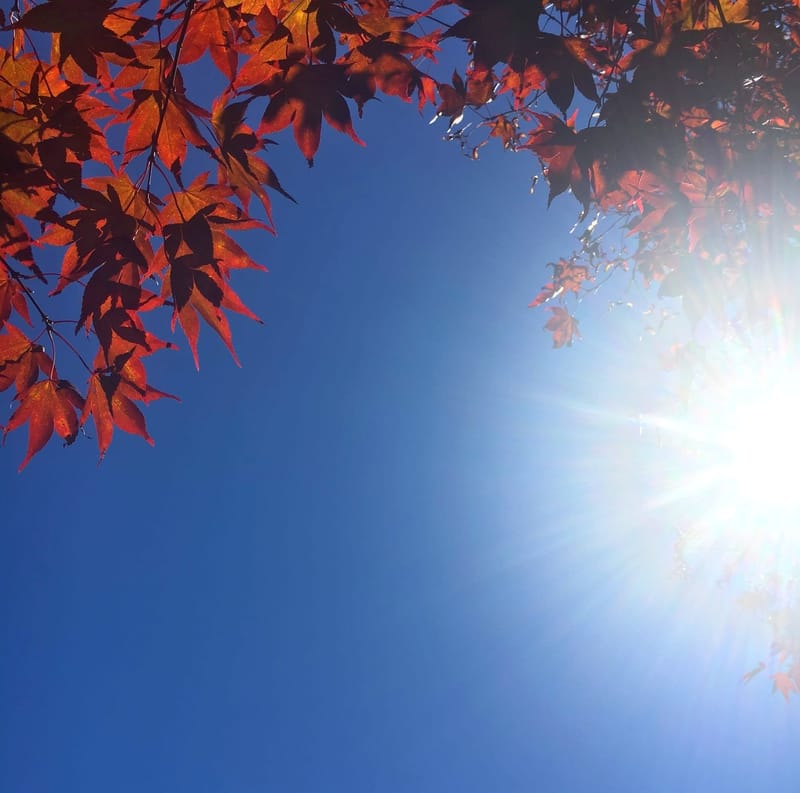 MODALITÀ DEGLI INCONTRI E TARIFFE