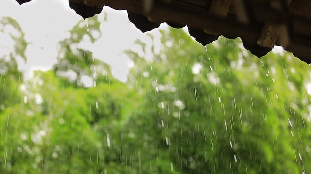 לחוות את טיפולו הקפדני של אלוהים למען ישועתו של האדם בזמן אסון