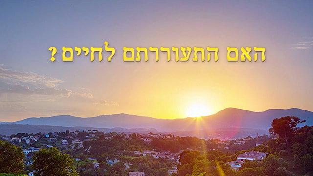 האם התעוררתם לחיים?